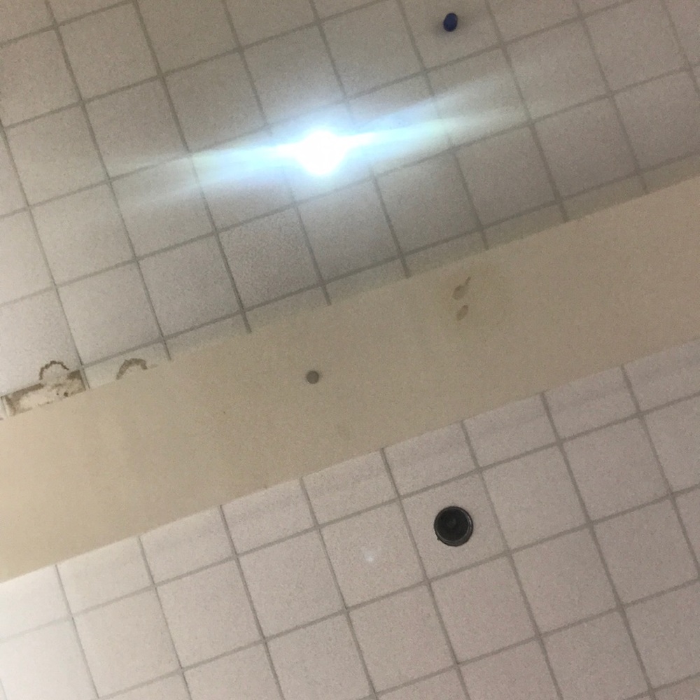 Meet your Posher, Isabella